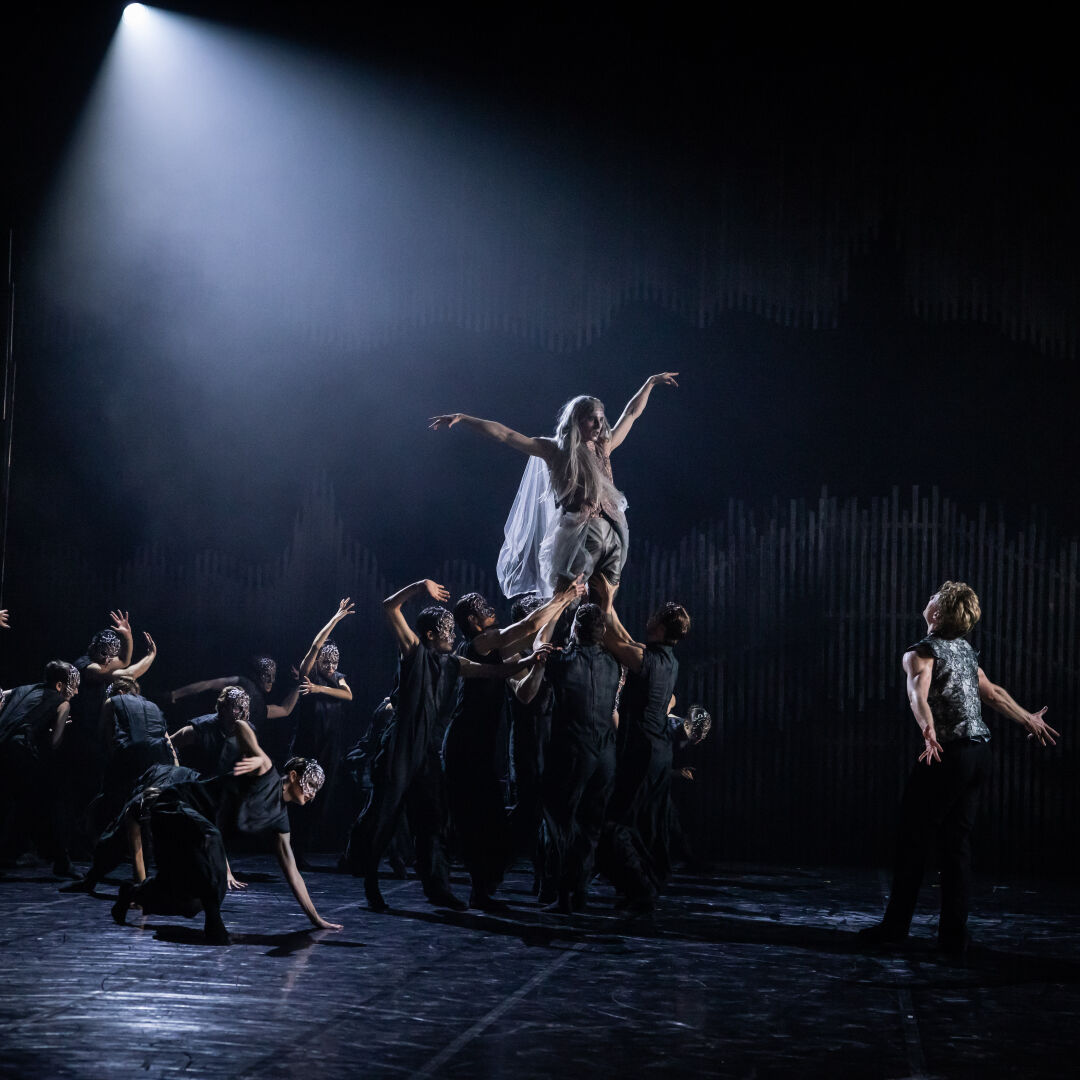 Artists of Queensland Ballet. Photography David Kelly.