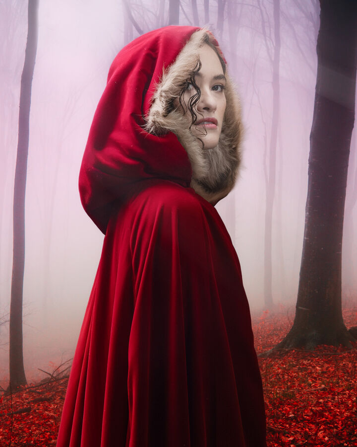 Into the ~Woods~